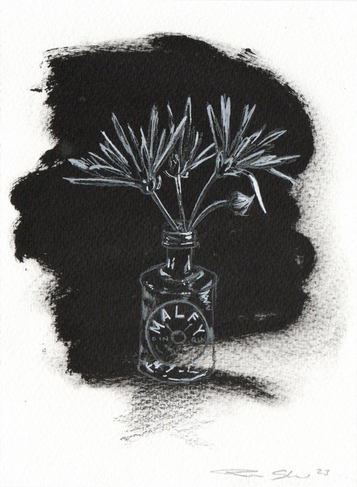 Malfy Gin Drawing - Click here to view and order this product